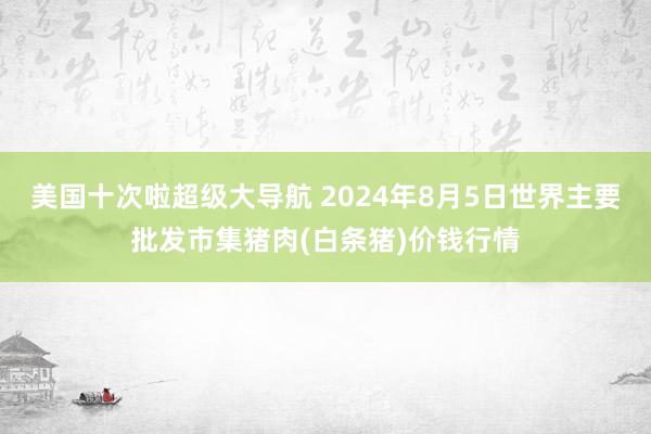 美国十次啦超级大导航 2024年8月5日世界主要批发市集猪肉(白条猪)价钱行情