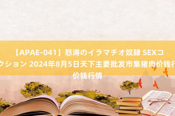 【APAE-041】怒涛のイラマチオ奴隷 SEXコレクション 2024年8月5日天下主要批发市集猪肉价钱行情