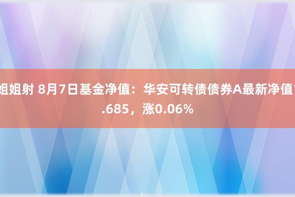 姐姐射 8月7日基金净值：华安可转债债券A最新净值1.685，涨0.06%