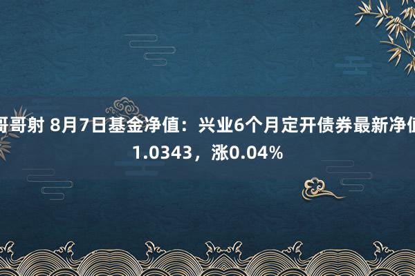 哥哥射 8月7日基金净值：兴业6个月定开债券最新净值1.0343，涨0.04%