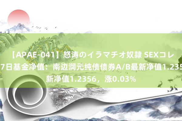 【APAE-041】怒涛のイラマチオ奴隷 SEXコレクション 8月7日基金净值：南边润元纯债债券A/B最新净值1.2356，涨0.03%