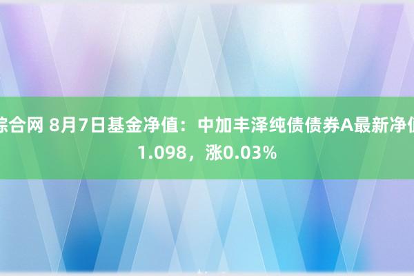 综合网 8月7日基金净值：中加丰泽纯债债券A最新净值1.098，涨0.03%