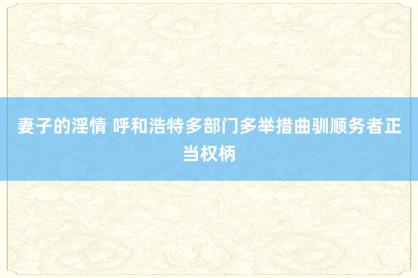 妻子的淫情 呼和浩特多部门多举措曲驯顺务者正当权柄