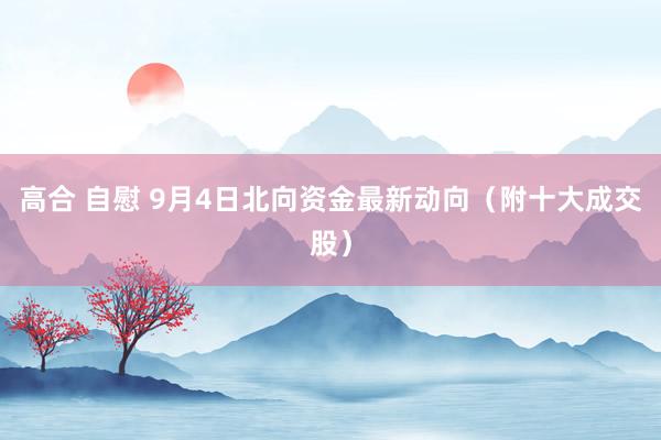 高合 自慰 9月4日北向资金最新动向（附十大成交股）