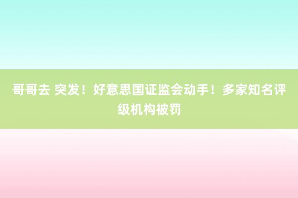 哥哥去 突发！好意思国证监会动手！多家知名评级机构被罚