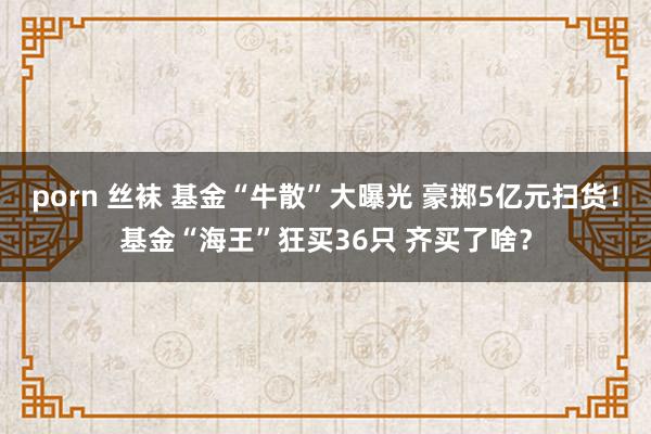 porn 丝袜 基金“牛散”大曝光 豪掷5亿元扫货！基金“海王”狂买36只 齐买了啥？