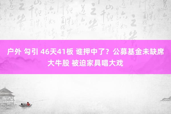 户外 勾引 46天41板 谁押中了？公募基金未缺席大牛股 被迫家具唱大戏