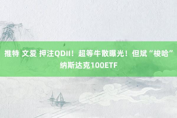 推特 文爱 押注QDII！超等牛散曝光！但斌“梭哈”纳斯达克100ETF