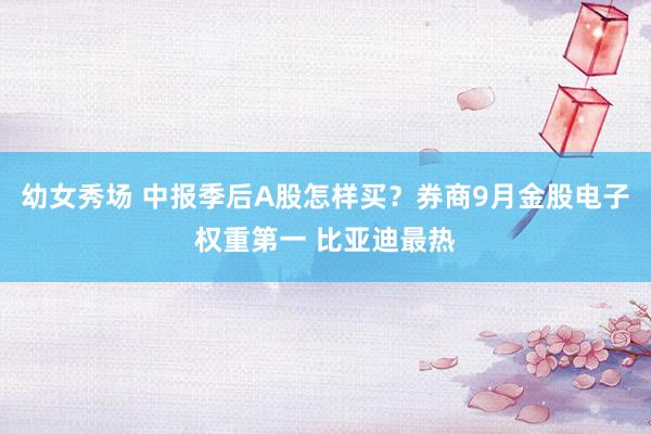 幼女秀场 中报季后A股怎样买？券商9月金股电子权重第一 比亚迪最热