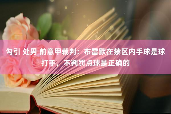 勾引 处男 前意甲裁判：布雷默在禁区内手球是球打手，不判罚点球是正确的